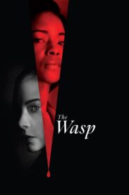 The Wasp Full Movie 2024 (720p & 1080p)