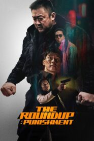 The Roundup: Punishment Full Movie (720p & 1080p)