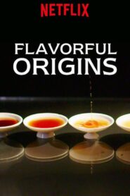 Flavorful Origins Complete Season (1-3) (720p & 1080p)