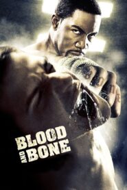 Blood and Bone Full Movie 2009 (720p & 1080p)