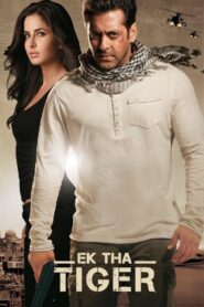 Ek Tha Tiger Full Movie 2012 (720p & 1080p)