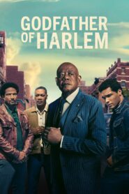 Godfather of Harlem Complete Season (1-3) (720p & 1080p)
