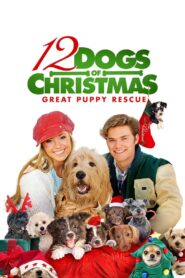 12 Dogs of Christmas: Great Puppy Rescue Full Movie 2012 (720p & 1080p)