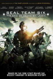 Seal Team Six: The Raid on Osama Bin Laden Full Movie 2012 (720p & 1080p)