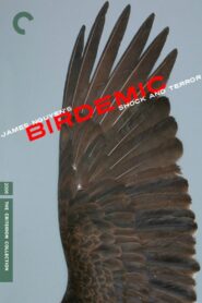 Birdemic: Shock and Terror Full Movie 2010 (720p & 1080p)