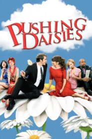 Pushing Daisies Complete Season (1-2) (720p & 1080p)