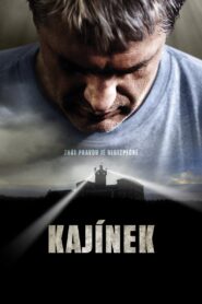 Enemies of the State Full Movie 2010 (720p & 1080p)