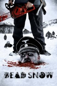 Dead Snow Full Movie 2009 (720p & 1080p)