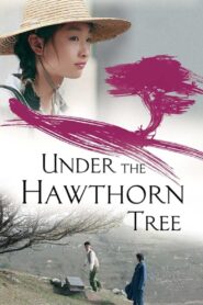 Under the Hawthorn Tree Full Movie 2010 (720p & 1080p)