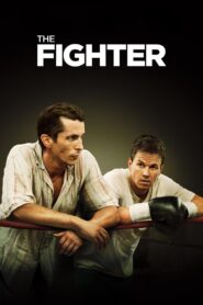 The Fighter Full Movie 2010 (720p & 1080p)