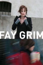 Fay Grim Full Movie 2007 (720p & 1080p)