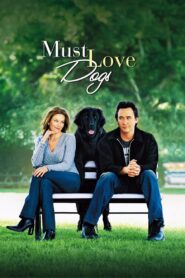 Must Love Dogs Full Movie 2005 (720p & 1080p)
