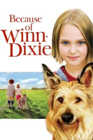 Because of Winn-Dixie Full Movie 2005 (720p & 1080p)