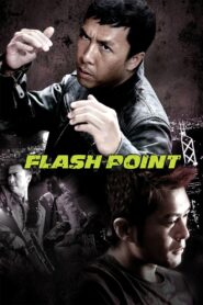 Flash Point Full Movie 2007 (720p & 1080p)