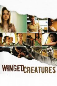 Fragments (Winged Creatures) Full Movie 2008(720p & 1080p)