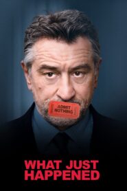 What Just Happened Full Movie 2008 (720p & 1080p)
