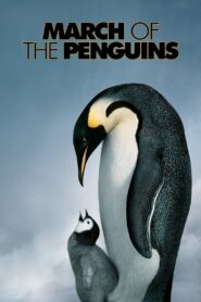 March of the Penguins Full Movie 2005 (720p & 1080p)