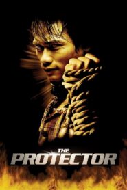 The Protector Full Movie 2005 (720p & 1080p)