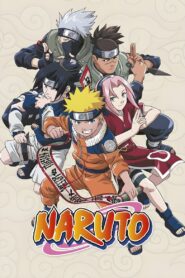 Naruto Complete Season (1-5) (720p & 1080p)