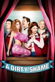 A Dirty Shame Full Movie 2004 (720p & 1080p)