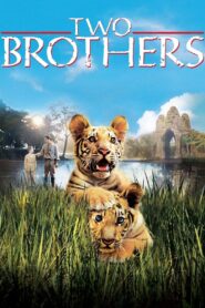 Two Brothers Full Movie 2004 (720p & 1080p)