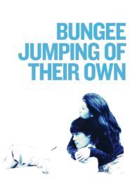 Bungee Jumping of Their Own Full Movie 2001 (720p & 1080p)