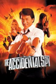 The Accidental Spy Full Movie 2001 (720p & 1080p)
