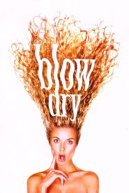 Blow Dry Full Movie 2001 (720p & 1080p)