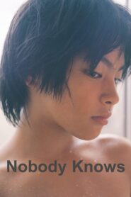 Nobody Knows Full Movie 2004 (720p & 1080p)