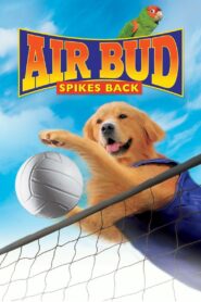 Air Bud: Spikes Back Full Movie 2003 (720p & 1080p)