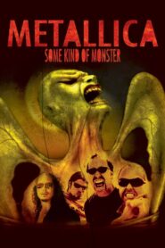 Metallica: Some Kind of Monster Full Movie 2004 (720p & 1080p)