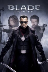 Blade: Trinity Full Movie 2004 (720p & 1080p)
