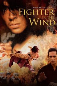 Fighter in the Wind Full Movie 2004 (720p & 1080p)