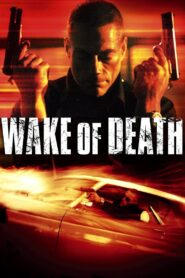 Wake of Death Full Movie 2004 (720p & 1080p)
