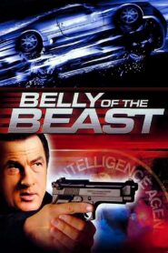 Belly of the Beast Full Movie 2003 (720p & 1080p)