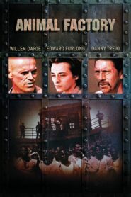 Animal Factory Full Movie 2000 (720p & 1080p)