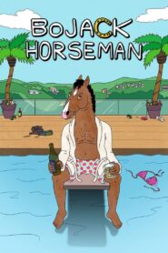 BoJack Horseman Complete Season (1-6) (720p & 1080p)
