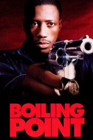Boiling Point Full Movie 1993 (720p & 1080p)