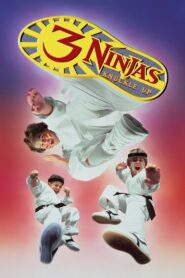 3 Ninjas Knuckle Up Full Movie 1995 (720p & 1080p)