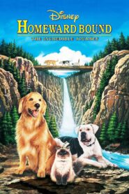 Homeward Bound: The Incredible Journey Full Movie 1993 (720p & 1080p)