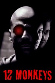Twelve Monkeys Full Movie 1995 (720p & 1080p)