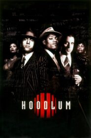 Hoodlum Full Movie 1997 (720p & 1080p)