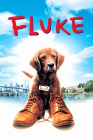 Fluke Full Movie 1995 (720p & 1080p)