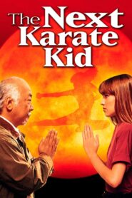 The Next Karate Kid Full Movie 1994 (720p & 1080p)