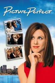 Picture Perfect Full Movie 1997 (720p & 1080p)