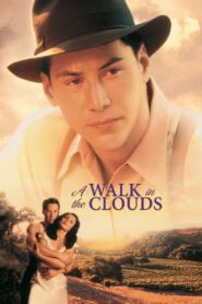 A Walk in the Clouds Full Movie 1995 (720p & 1080p)