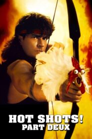 Hot Shots! Part Deux Full Movie 1993 (720p & 1080p)