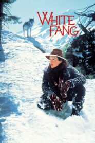 White Fang Full Movie 1991 (720p & 1080p)