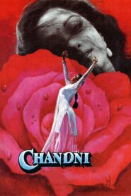 Chandni Full Movie 1989 (720p & 1080p)