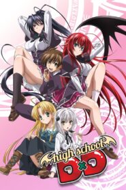 High School D×D Complete Season (1) (720p & 1080p)